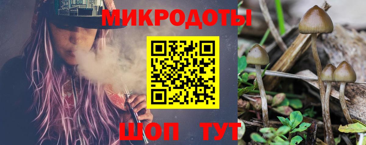 Галлюциногенные грибы Psilocybe Владикавказ